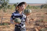 'Té ngửa' về thông tin ca sĩ Ngọc Sơn sở hữu 50 ha đất ở Bình Thuận