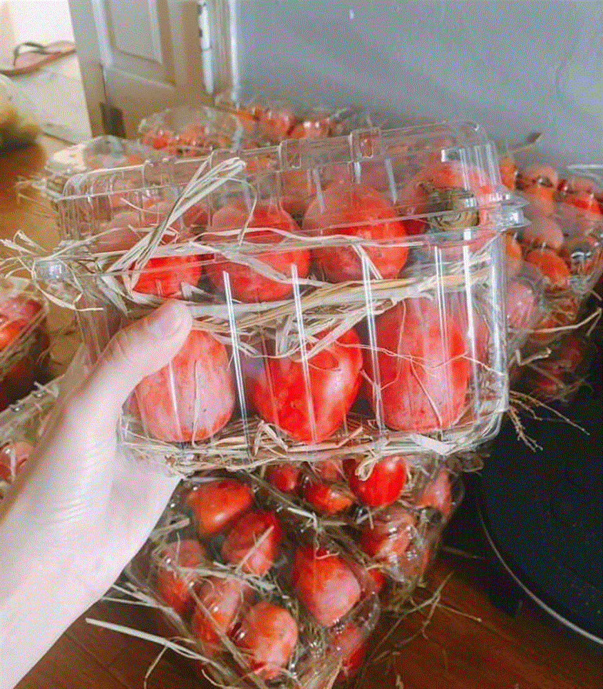 Hồng cổ đỏ chót như cà chua bi, dân Hà thành ồ ạt chốt đơn-3