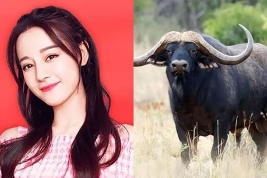 Từ ngày 1/10: 3 tuổi 'gánh tiền cõng của', 1 tuổi nợ đầm nợ đìa