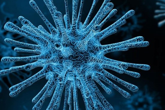 Một virus khỉ khác
