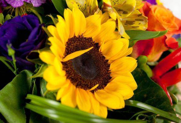 Sinh ngày Âm lịch này là người ham học hỏi, lập trường vững vàng, sau 40 tuổi sự nghiệp thuận lợi-3