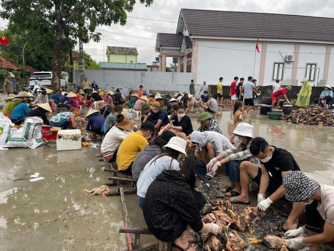 4.000 con gà chết vì mưa lũ, cả làng đến giúp chủ trang trại sơ chế-2