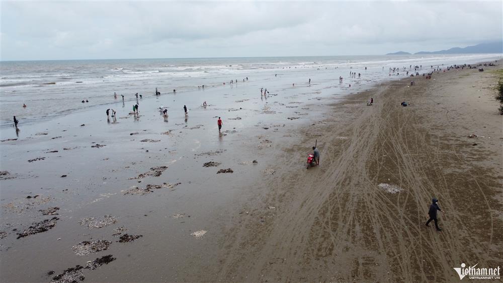 Đi giật lùi vớt lộc trời sau bão, nông dân kiếm hàng triệu đồng-1