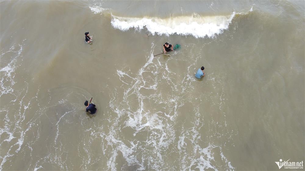 Đi giật lùi vớt lộc trời sau bão, nông dân kiếm hàng triệu đồng-2