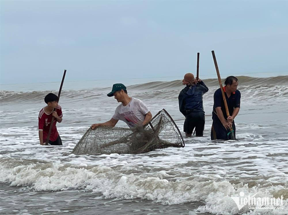 Đi giật lùi vớt lộc trời sau bão, nông dân kiếm hàng triệu đồng-4