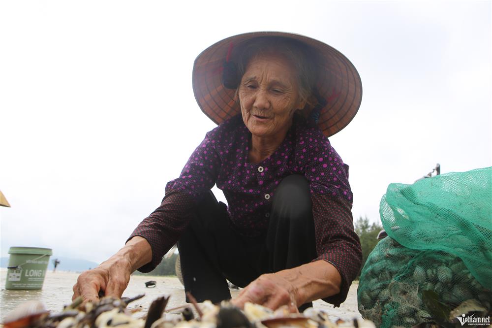 Đi giật lùi vớt lộc trời sau bão, nông dân kiếm hàng triệu đồng-6