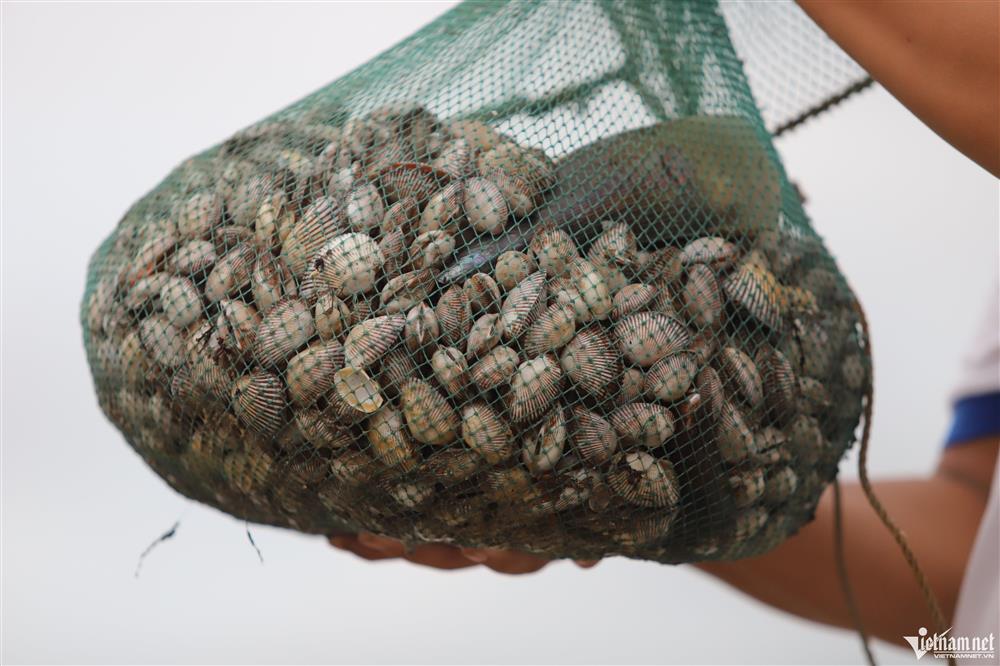 Đi giật lùi vớt lộc trời sau bão, nông dân kiếm hàng triệu đồng-10