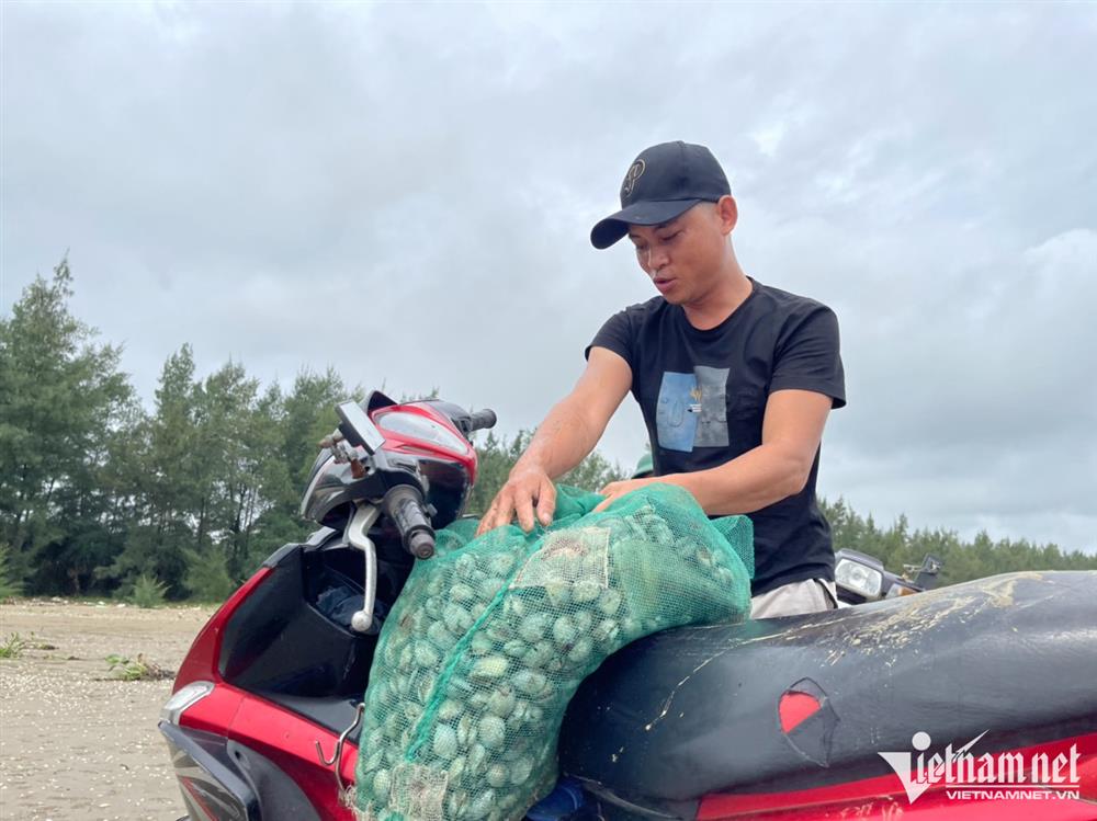 Đi giật lùi vớt lộc trời sau bão, nông dân kiếm hàng triệu đồng-11