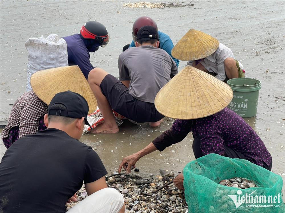 Đi giật lùi vớt lộc trời sau bão, nông dân kiếm hàng triệu đồng-9