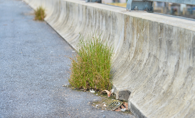 Cây cầu hơn 115 tỷ ở Hà Nội sắp hoàn thành, vì sao bị bỏ không gần 2 năm nay?-8