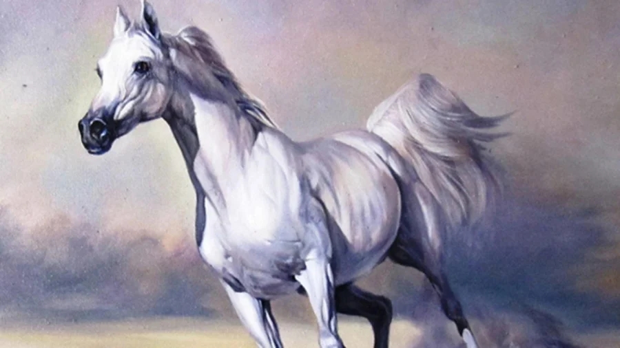 Nhà có 4 con giáp được quý nhân phù trợ, tổ tiên độ trì: Năm 2023 làm ăn thuận lợi, gặp hung hóa cát-3