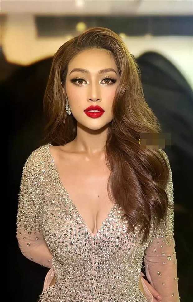 Thành tích ấn tượng của Tân Hoa hậu Đoàn Thiên Ân-11