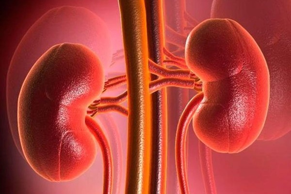 5 dấu hiệu cho thấy thận đang bị tổn thương-1