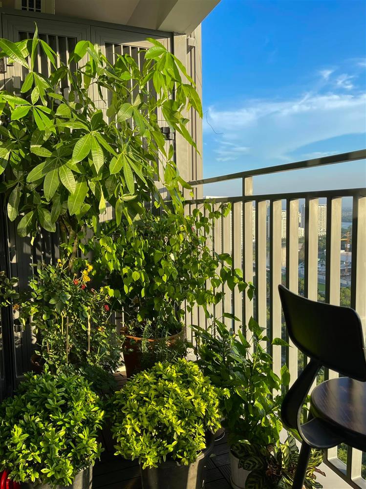 Cơ ngơi toàn mùi tiền của Hoa hậu Kỳ Duyên, ban công được biến tấu thành khu vườn xanh mướt-18