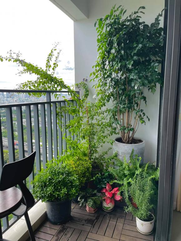 Cơ ngơi toàn mùi tiền của Hoa hậu Kỳ Duyên, ban công được biến tấu thành khu vườn xanh mướt-20