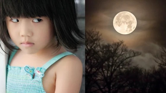 Cổ nhân thường nói: Trai mùng 1 gái hôm Rằm khó nuôi, vậy gái mùng 1 trai ngày Rằm thì sao?-2