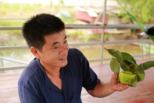 Độc đáo quả ổi hình thỏi vàng in chữ Tài Lộc ở Hải Dương-4