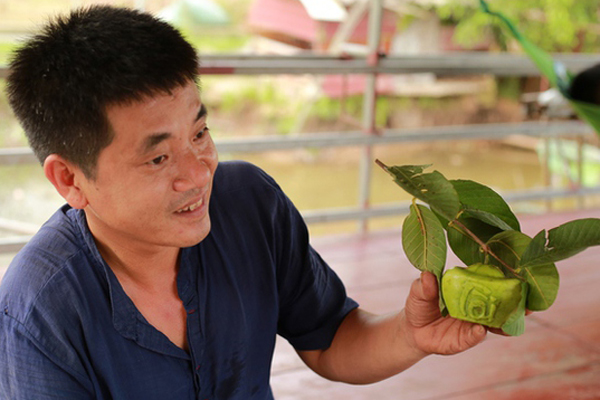 Siêu thực phẩm bán tràn chợ, có nơi chỉ 9.000 đồng/kg-3