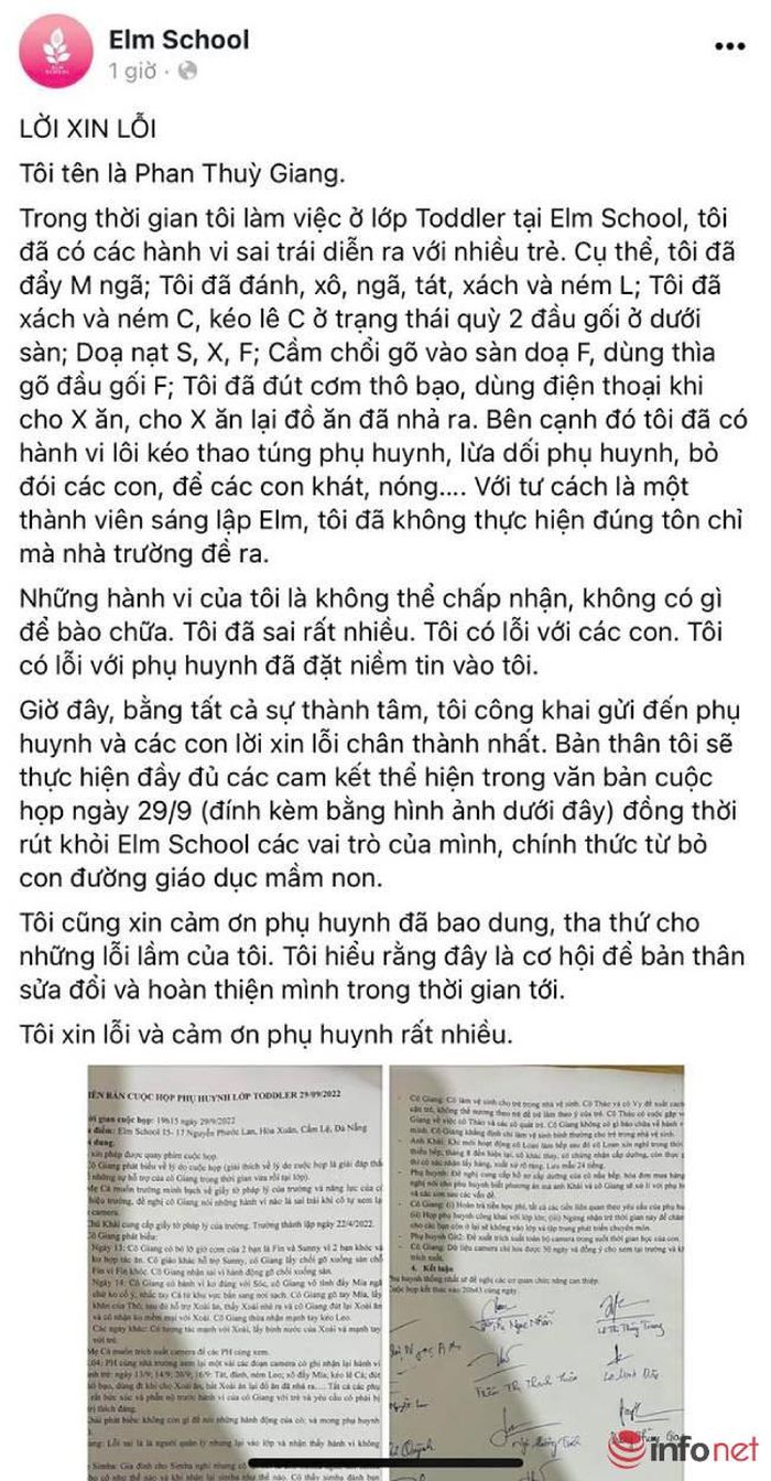 Đà Nẵng: Đình chỉ cơ sở mầm non Elm School vì nghi vấn bạo hành học sinh-1