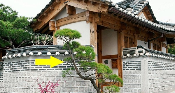 Các cụ nói: Nhà giàu bước vào cửa sẽ có 4 thứ này, nhà nghèo ít khi có, đó là 4 thứ gì?-1