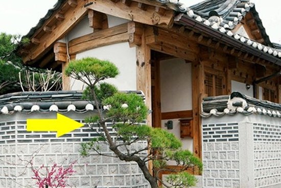 Các cụ nói: 'Nhà giàu bước vào cửa sẽ có 4 thứ này, nhà nghèo ít khi có', đó là 4 thứ gì?