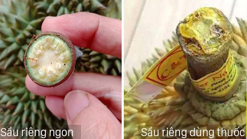 Chọn sầu riêng chỉ cần nhìn đúng 1 điểm: Chín tự nhiên, cơm ngon ngọt, không hề bị sượng-4