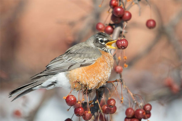 Nửa tháng tới: 3 tuổi hợp vía thần Tài, tiền của dư dôi, lộc lá đua nhau tìm đến-3