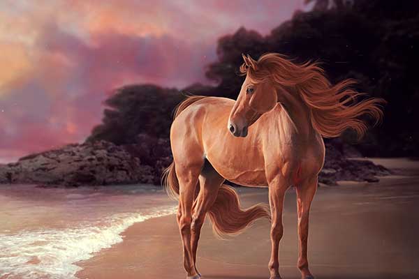 Đàn ông lấy vợ thuộc 3 tuổi này may mắn nhân đôi, phú quý vô kể-4