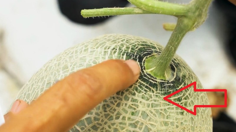 3 mẹo chọn dưa vàng chuẩn không cần chỉnh, quả nào cũng ngọt thơm nức mũi-1