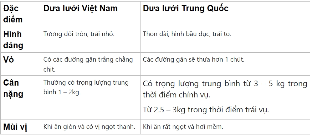 3 mẹo chọn dưa vàng chuẩn không cần chỉnh, quả nào cũng ngọt thơm nức mũi-2