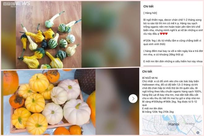 Đua nhau săn lùng bí ngô tí hon đột biến chơi Halloween-1