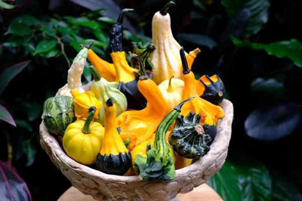 Chi chục triệu đồng ăn tiệc Halloween ở khách sạn 5 sao-4