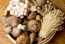 Những lưu ý ‘sống còn’ khi ăn nấm, nhớ cho kỹ kẻo ngộ độc chết người