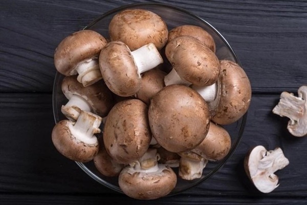 Những lưu ý ‘sống còn’ khi ăn nấm, nhớ cho kỹ kẻo ngộ độc chết người-3