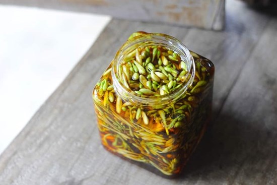 Hoa đu đủ đực ngâm cùng thứ này sẽ thành 