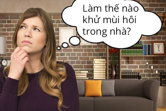 Những cách đơn giản khử mùi hôi trong nhà, giúp không gian sống thơm mát cả tuần