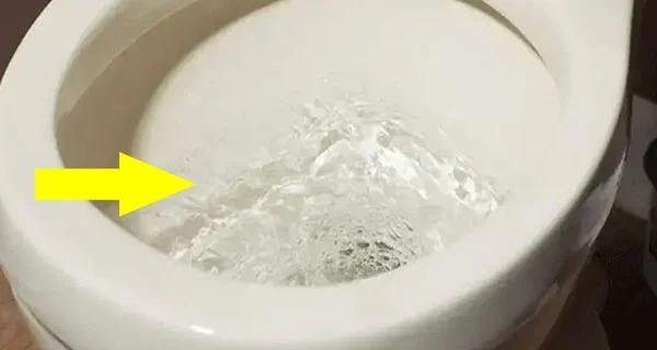 Có nên đổ nước xà phòng vào bồn cầu hay không: Rất nhiều gia đình làm sai mà không biết-1