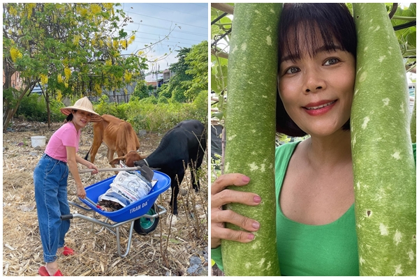 Bà xã Hoàng Bách khoe cận từng ngóc ngách trong căn bếp ấm cúng, nhìn đâu cũng thấy quá xịn-19