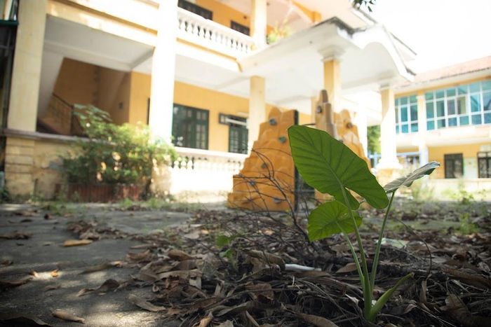 Kỳ lạ ở nơi bốc thăm suất học mầm non Hà Nội: Trường đang bỏ hoang cho cỏ mọc-2