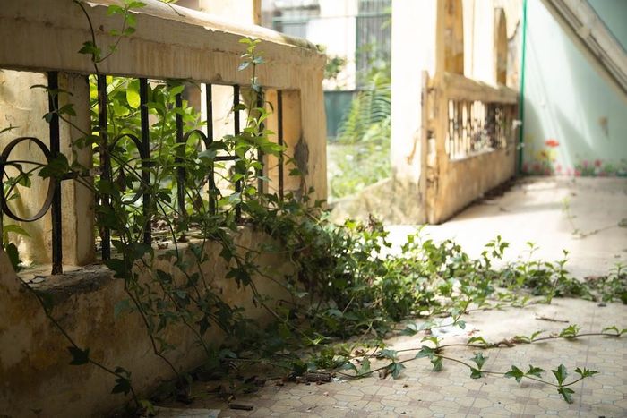 Kỳ lạ ở nơi bốc thăm suất học mầm non Hà Nội: Trường đang bỏ hoang cho cỏ mọc-12