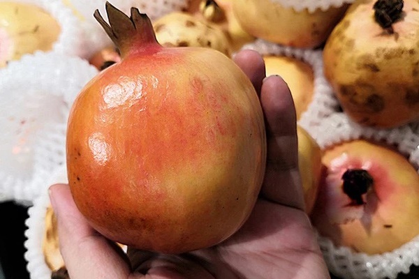 Vỏ của loại quả này hỗ trợ chống ung thư và ngăn ngừa lão hóa-2
