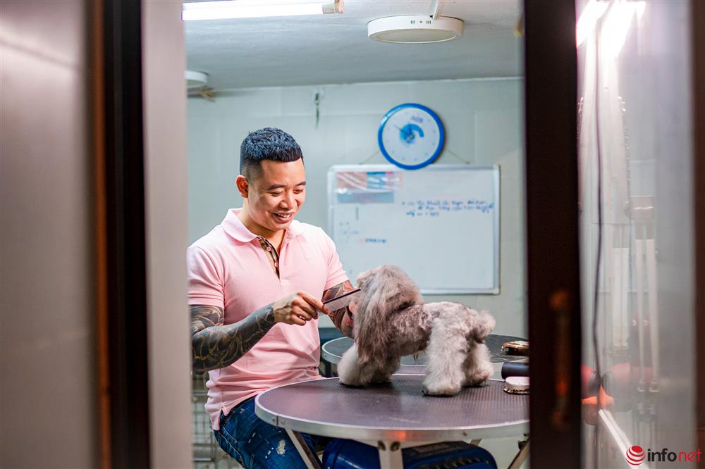 Chàng trai nuôi chó Poodle nổi tiếng Hà thành thu nhập hàng trăm triệu mỗi tháng-3