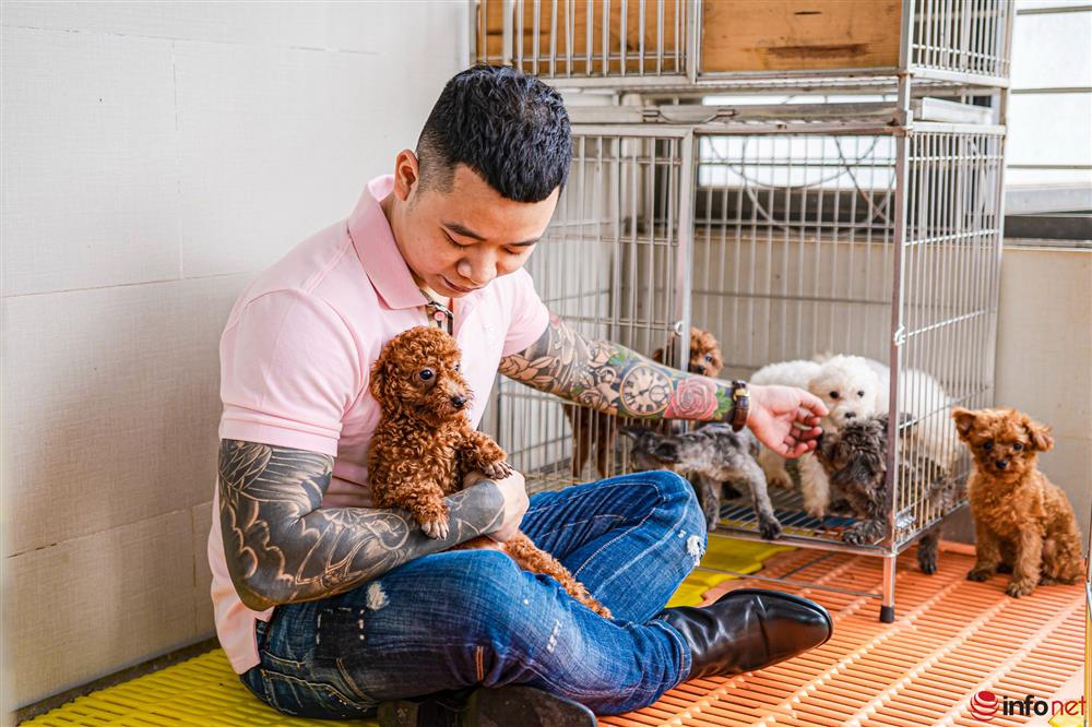 Chàng trai nuôi chó Poodle nổi tiếng Hà thành thu nhập hàng trăm triệu mỗi tháng-4