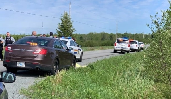 Hai đứa trẻ ở Mỹ bị chó pitbull của gia đình tấn công đến chết-3