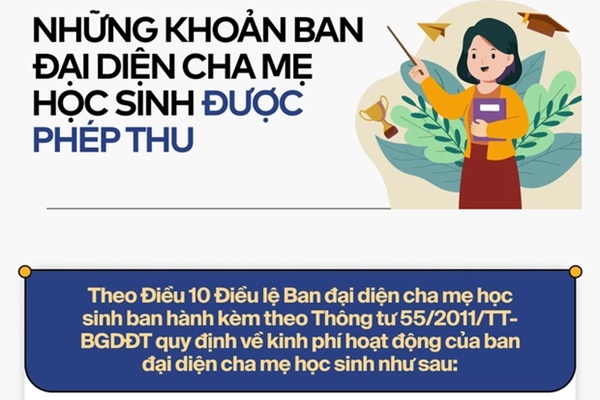 Nghiên cứu ĐH Harvard chỉ ra 5 thủ phạm khiến trẻ càng học càng sa sút-2