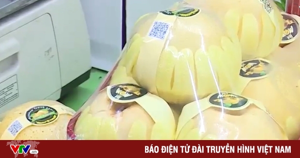 Vạch trần thủ đoạn gian dối xuất xứ lê Hàn Quốc-1