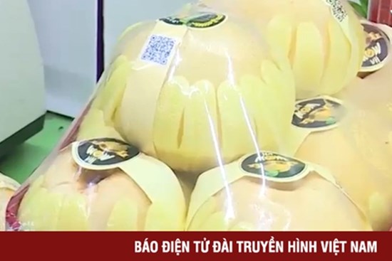 Vạch trần thủ đoạn gian dối xuất xứ lê Hàn Quốc