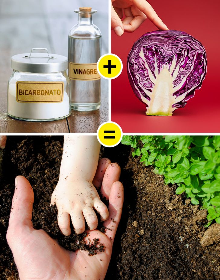 5 cách sử dụng baking soda giúp khu vườn của bạn luôn tươi tốt-4