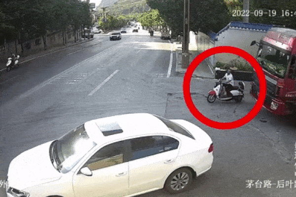 Video: Vô tình đứng giữa đường, hai người đàn ông may mắn thoát cửa tử-1