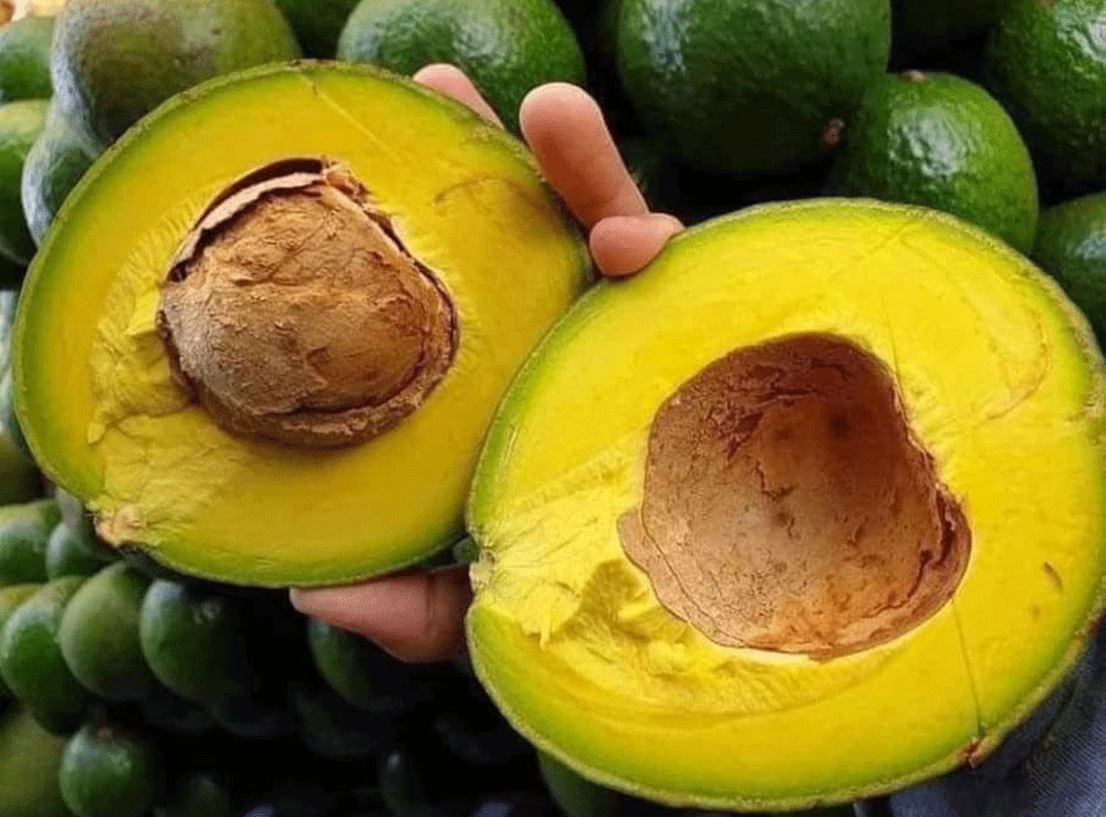 Siêu thực phẩm bán tràn chợ, có nơi chỉ 9.000 đồng/kg-1